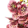 Vara de orquidea artificial jaspeada rosa de 16x92x0.1cm - Image 3