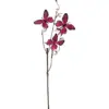 303001736995-galerias el triunfo