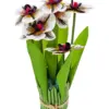 Ramo de orquídeas blancas con azul de 15x15x31cm - Image 2