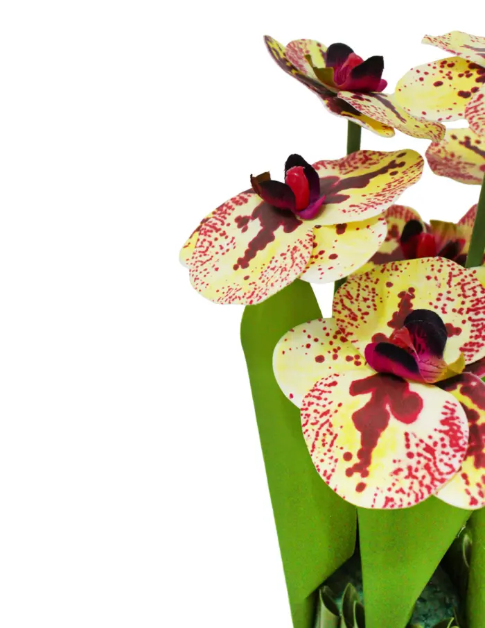 Ramo artificial de orquideas en base rosa con beige de 15x15x31cm - Image 2