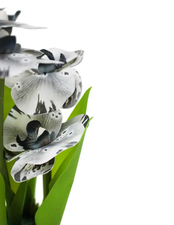 Ramo artificial de orquideas en base blancas con negro de 15x15x31cm - Image 3
