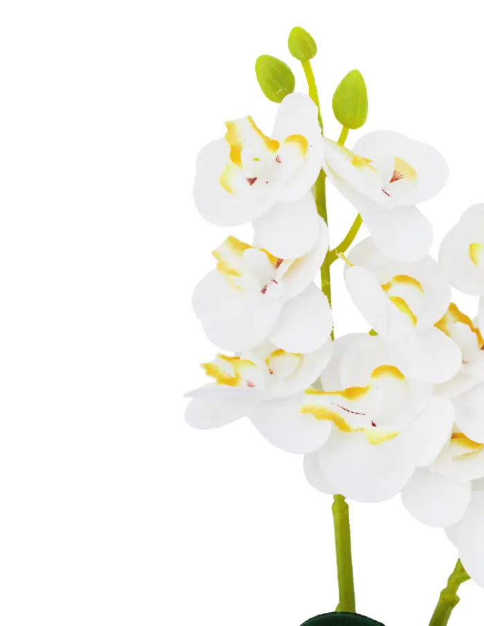 Vara artificial de orquideas blancas de 12x31x0.1cm - Image 2