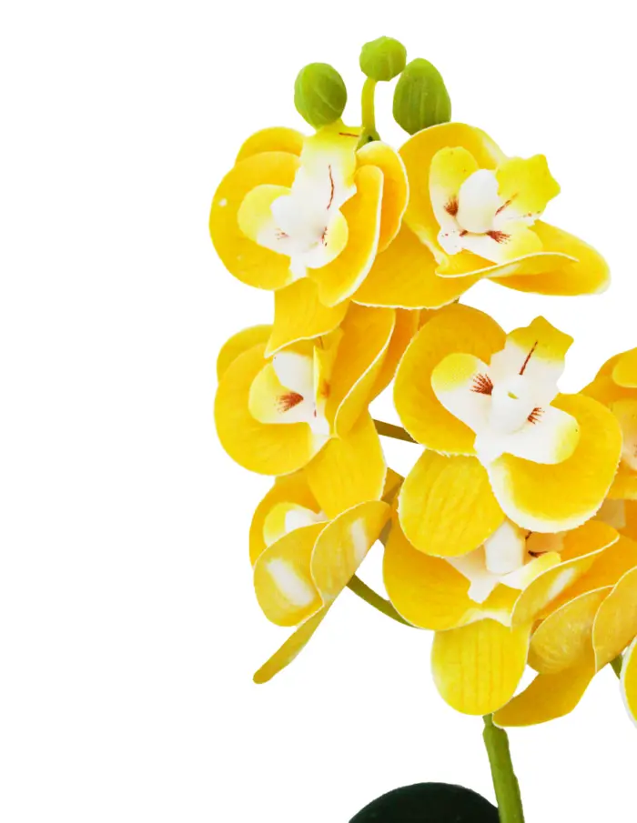 Vara artificial de orquideas amarillas de 12x31x0.1cm - Image 2