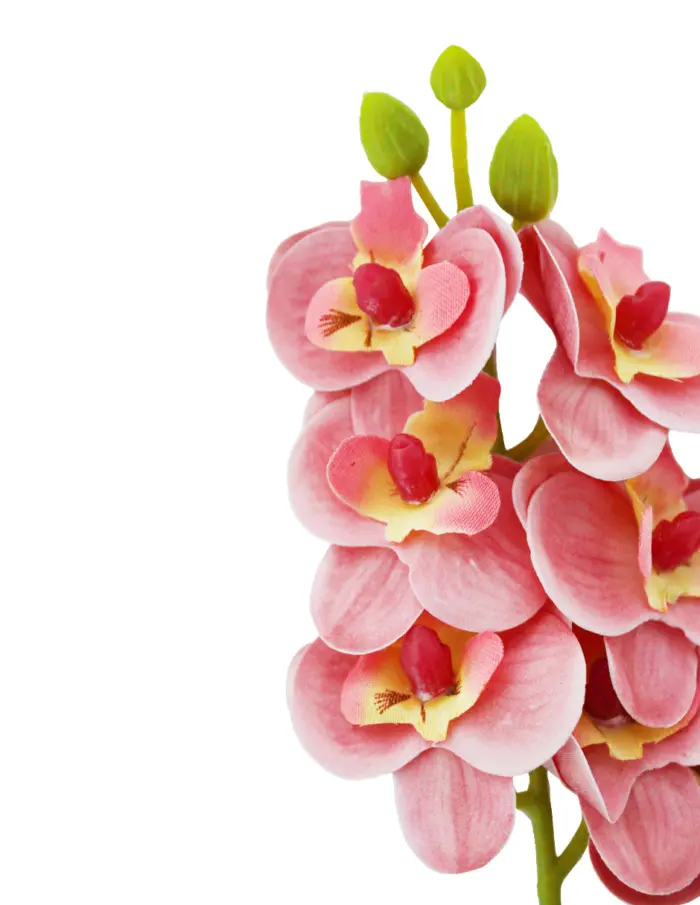 Vara artificial de orquideas rosas de 12x31x0.1cm - Image 2