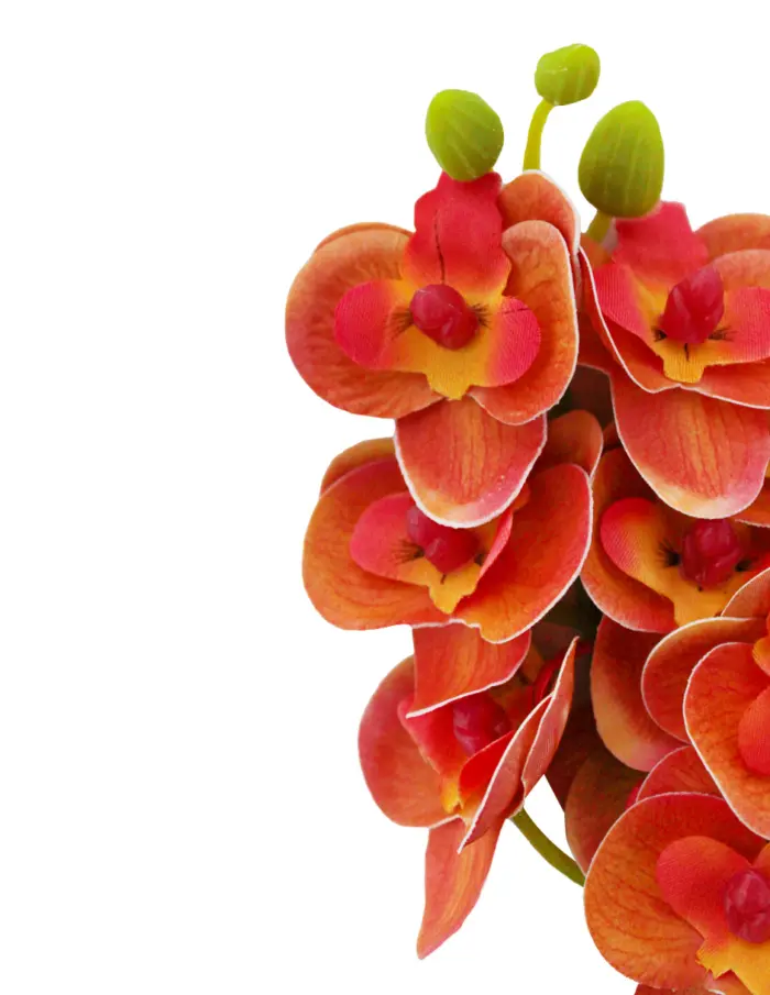 Vara artificial de orquideas naranja de 12x31x0.1cm - Image 2