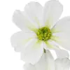 Vara de flores artificiales de margaritas blancas de 20x64x0.1cm - Image 3