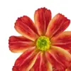 Vara de flores artificiales de margaritas naranja de 20x64x0.1cm - Image 3