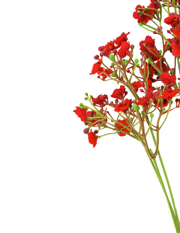 Vara de follaje con flores rojas de 70cm - Image 2