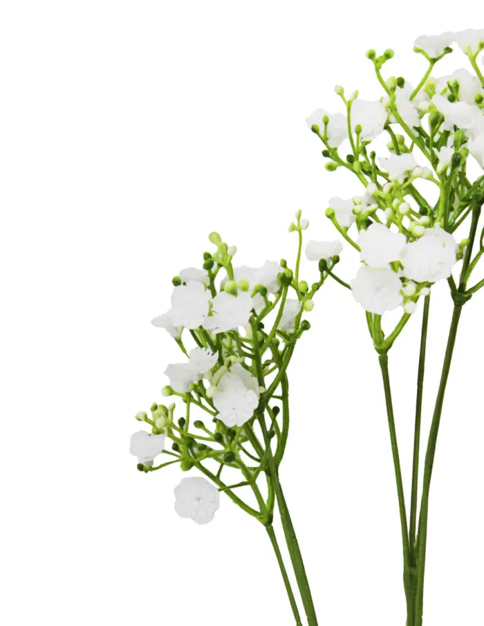 Vara de flores de plastico blanco de 15x20x70cm - Image 2