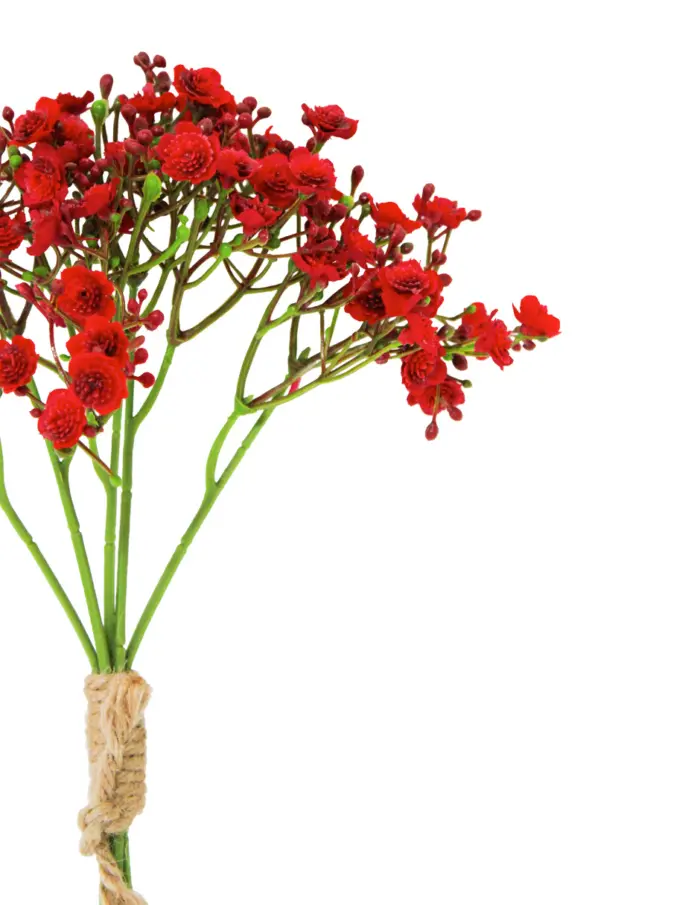 Ramo de flores de plastico rojo de 16x16x29cm - Image 2