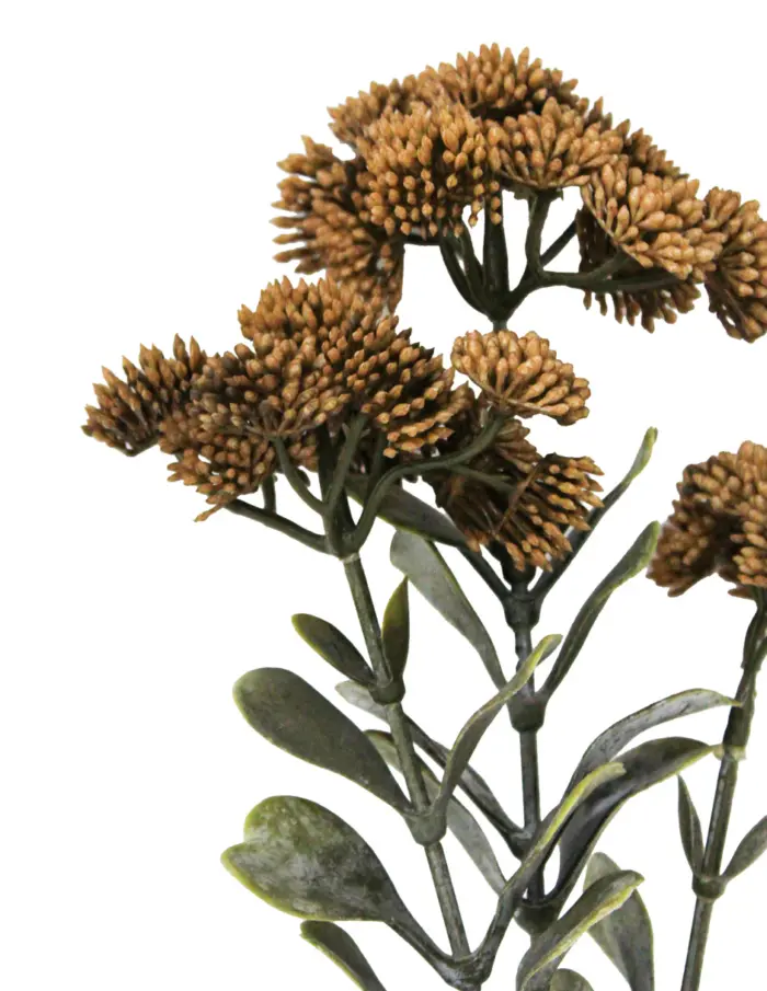 Vara de sedum marron de 56cm - Image 2