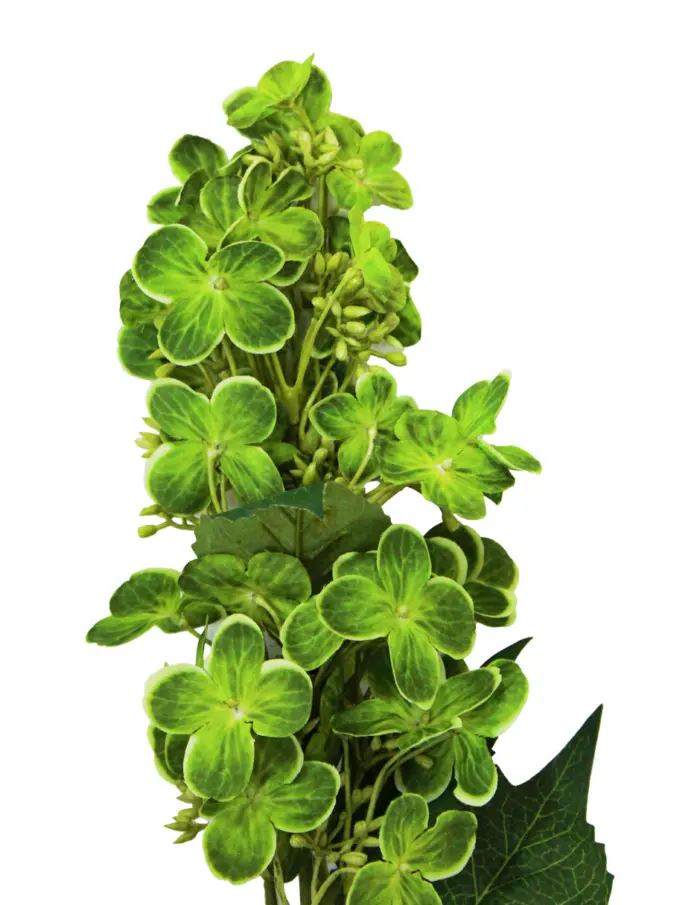 Vara de hortensia verde de 72 cm - Image 2