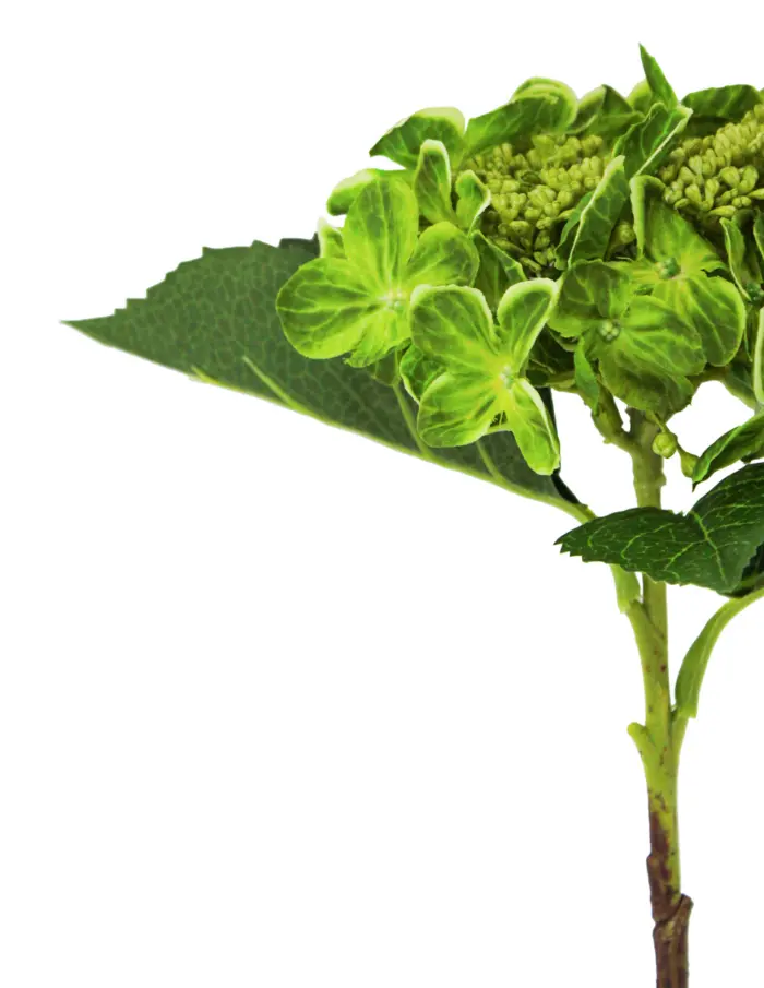 Vara de hortensia de tela verde y pistilos de plastico de 18x28x45cm - Image 2