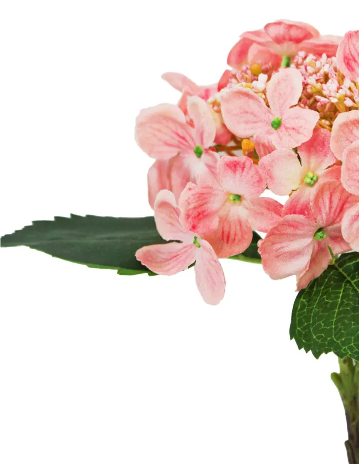 Vara de hortensia durazno de 44 cm - Image 2