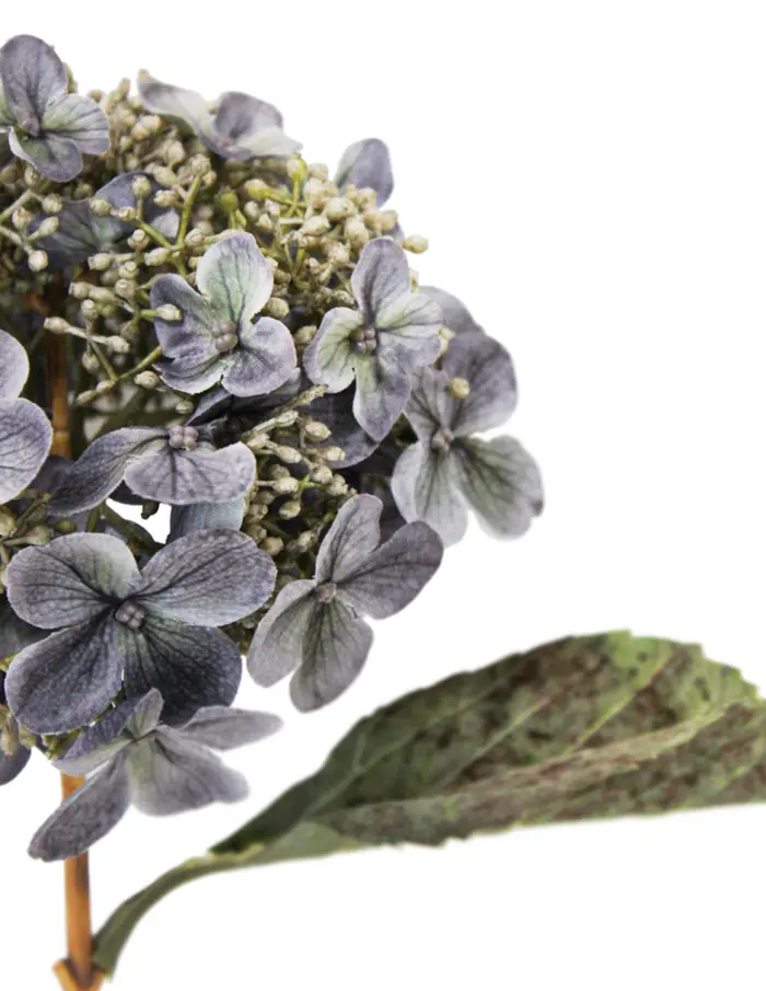 Vara de hortensia gris de 52 cm - Image 2