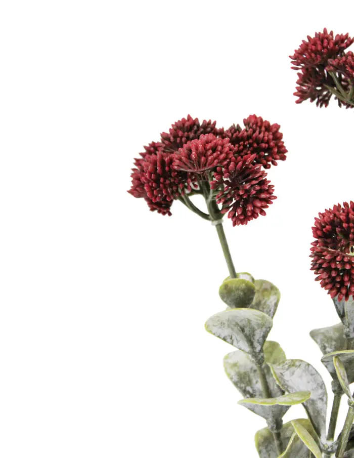 Vara de sedum con 3 ramas borgoña de 56 cm - Image 2
