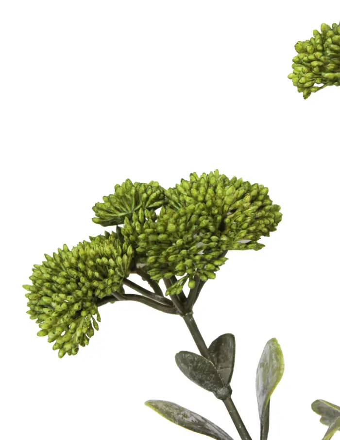 Vara de sedum con 3 ramas verdes de 56 cm - Image 2