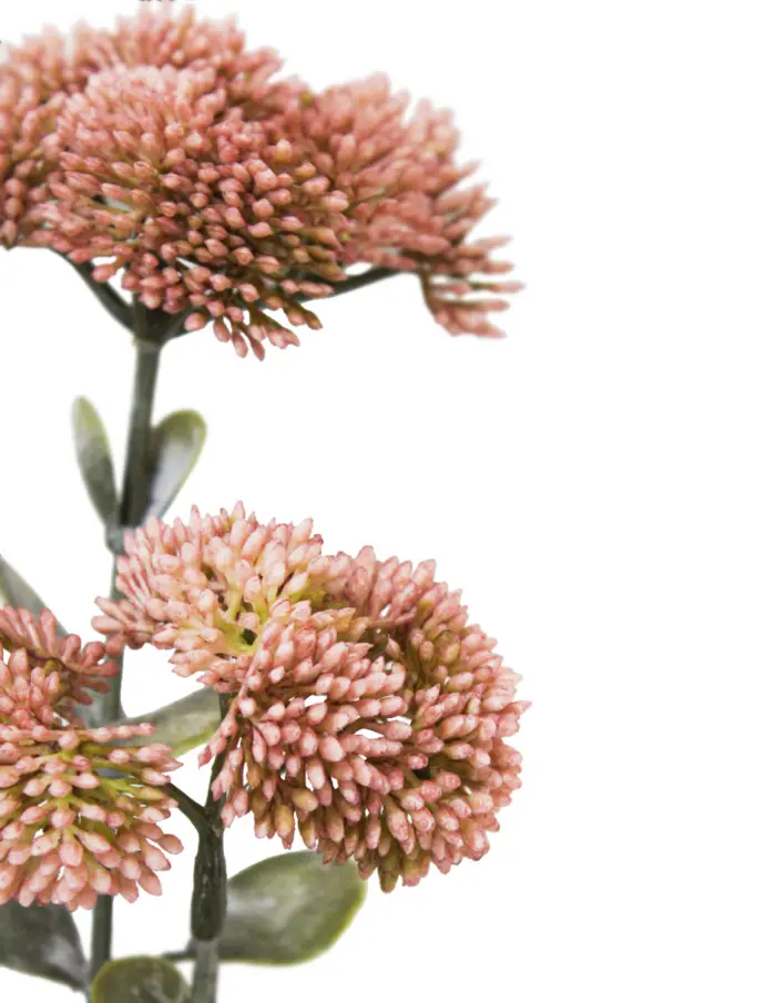 Vara de sedum con 3 ramas rosas de 56 cm - Image 2