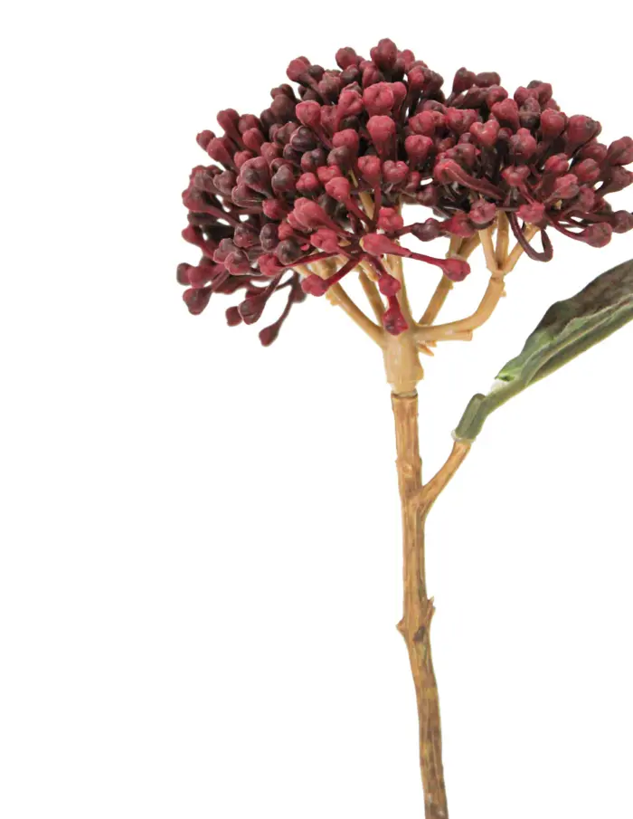 Vara de hortensias secas borgoña de 38 cm - Image 2