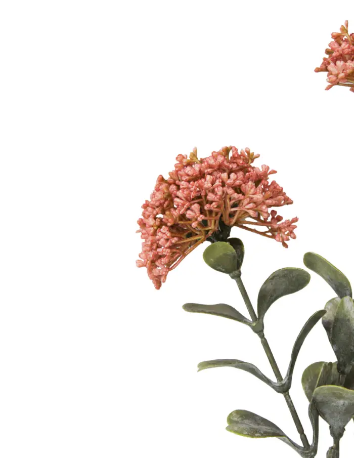 Vara de sedum con 3 ramas rosas de 58 cm - Image 2