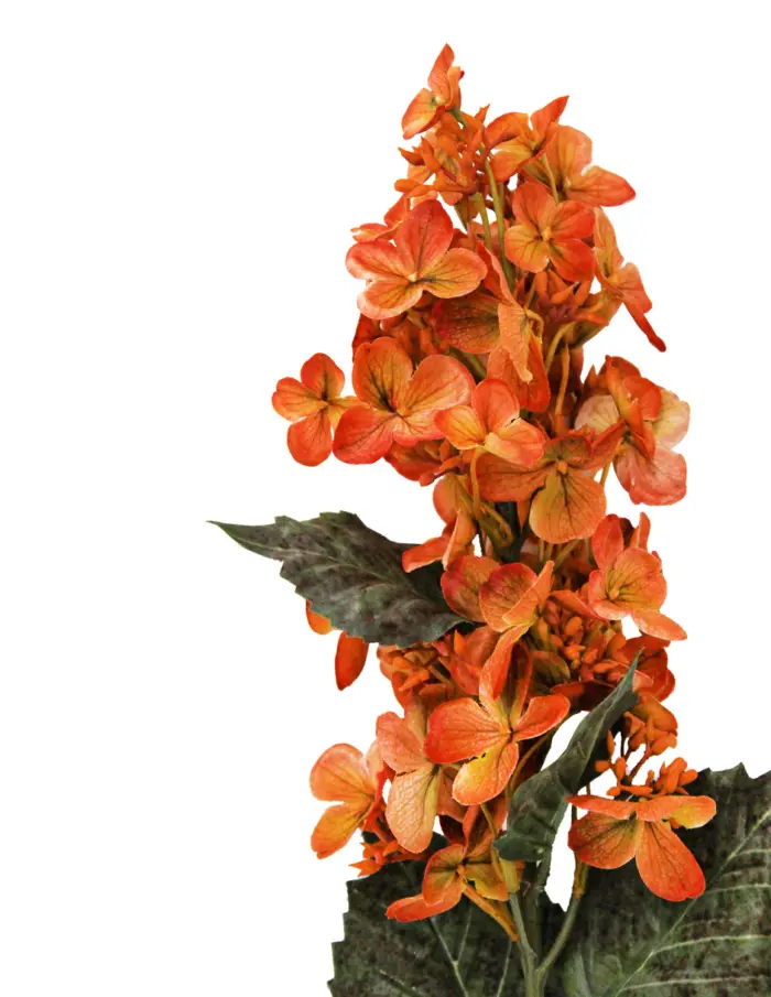 Vara de hortensia naranja de 72 cm - Image 2
