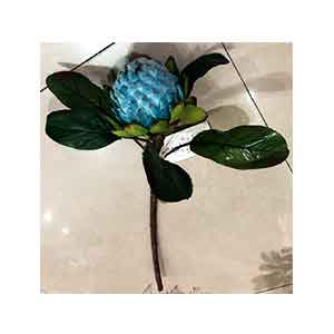 231001736710-galerias el triunfo