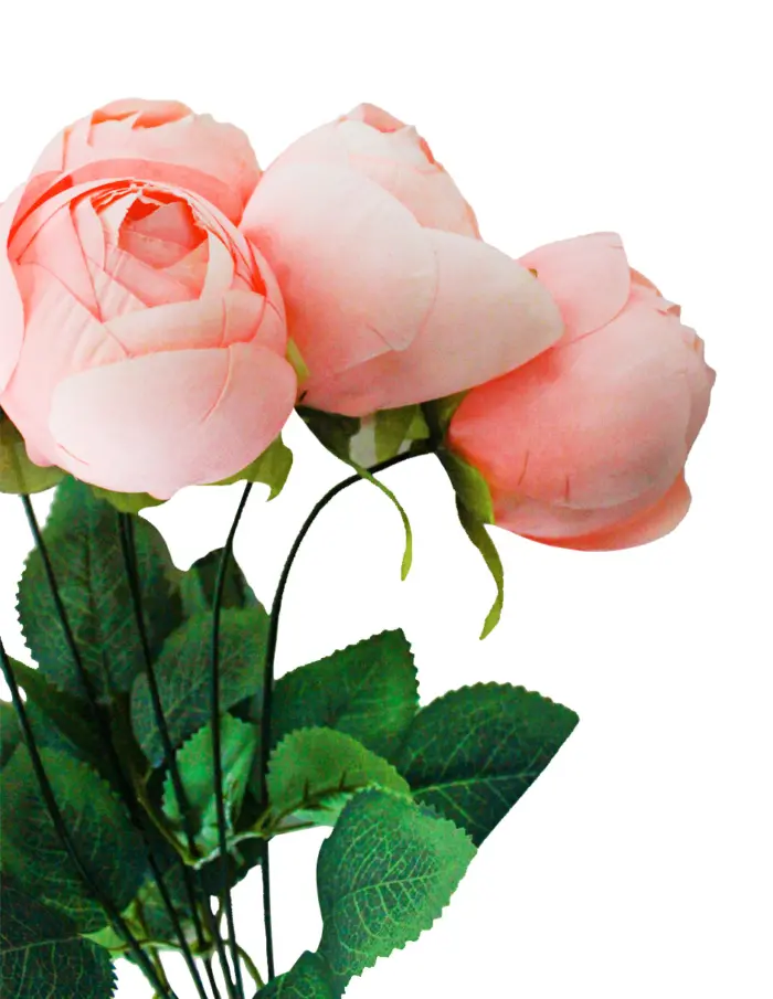 Ramo de botones de rosas rosa de 24x42x0.1cm - Image 2