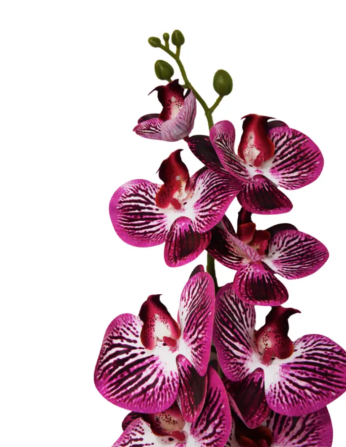 Vara de orquídea fucsia de 15x97x0.1cm - Image 2