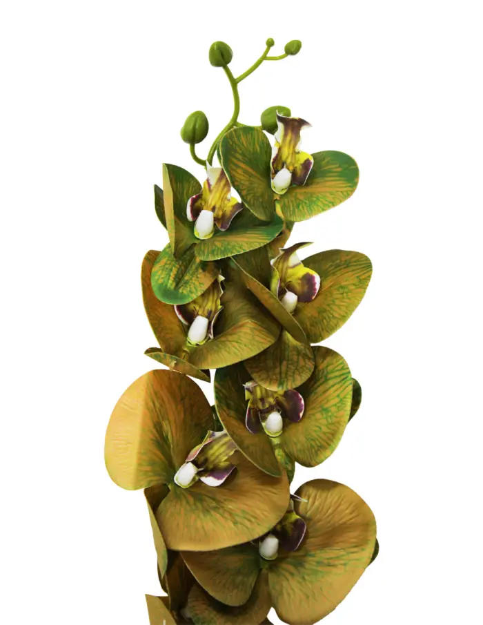 Vara de orquídea verde de 15x97x0.1cm - Image 2