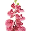 Vara de orquídea rosa de 15x97x0.1cm - Image 2