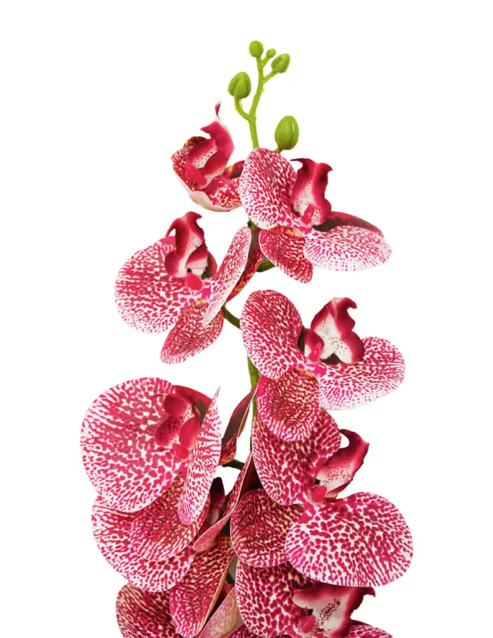 Vara de orquídea rosa de 15x97x0.1cm - Image 2