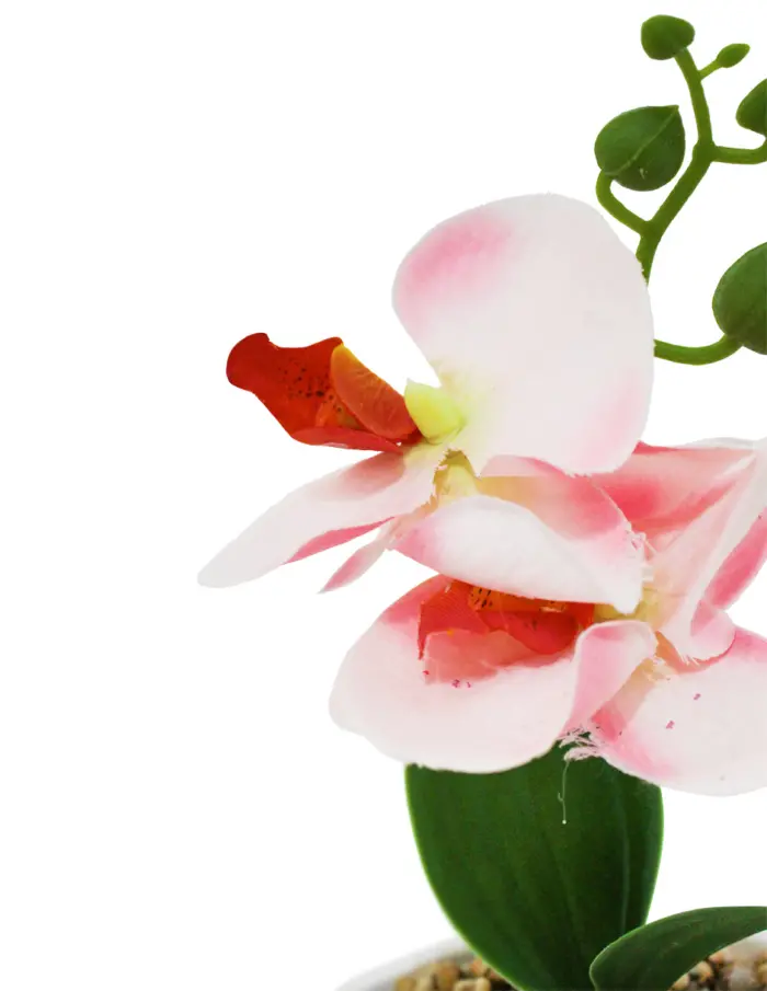 Orquidea artificial con maceta durazno de 5.5x11x24cm - Image 3