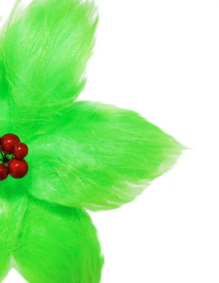 Nochebuena de Peluche Verde - Image 2