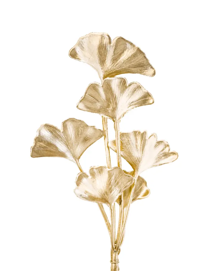 Pick de Ginkgo Biloba Dorado - Image 2