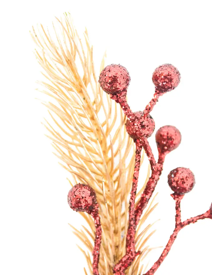 Pick de Trigo con Berries Rojos - Image 2