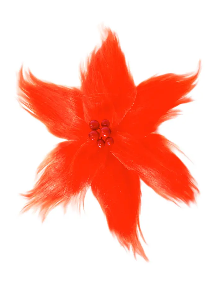 Nochebuena de Peluche Naranja