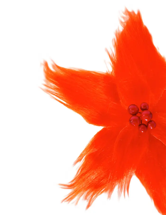 Nochebuena de Peluche Naranja - Image 2