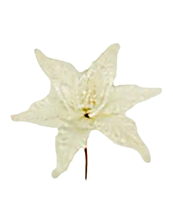 040907904327-galerias el triunfo