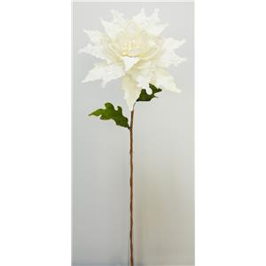 040907904429-galerias el triunfo