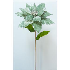 040907904438-galerias el triunfo