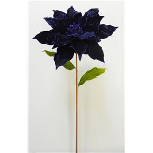 040907904440-galerias el triunfo