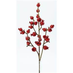 040907904452-galerias el triunfo