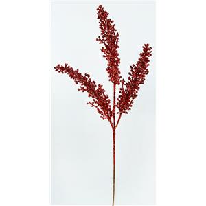 040907904458-galerias el triunfo