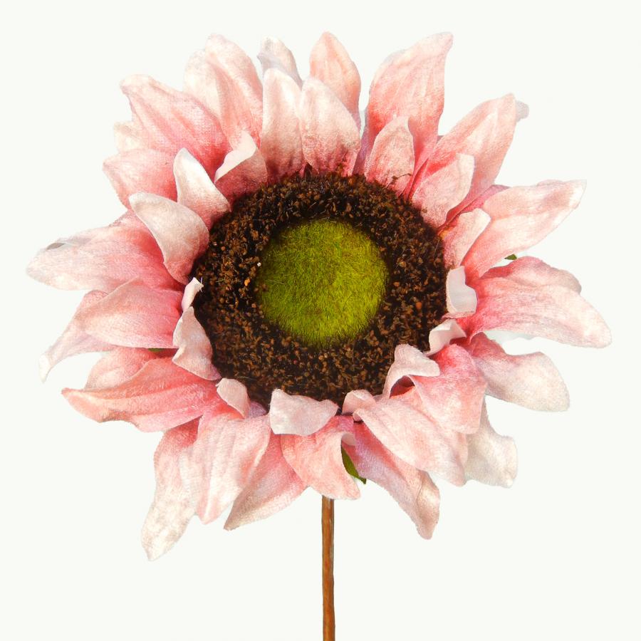 040907904461-galerias el triunfo