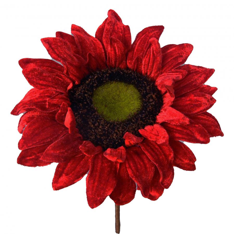 040907904463-galerias el triunfo