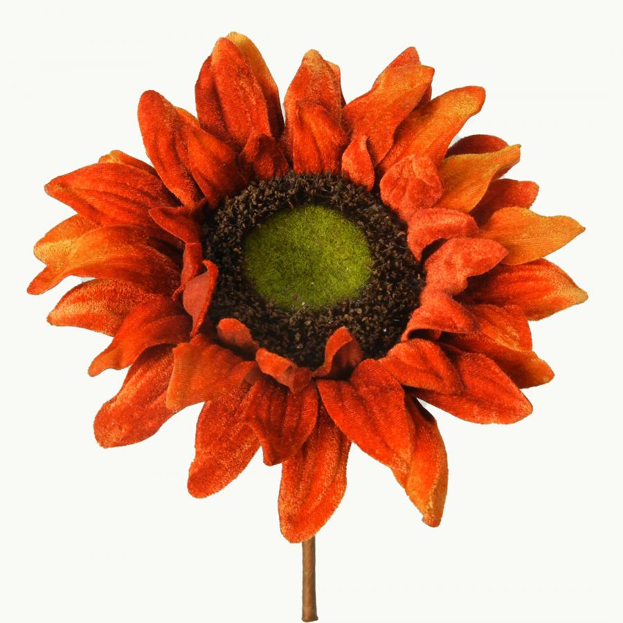 040907904465-galerias el triunfo