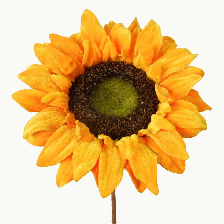 040907904466-galerias el triunfo