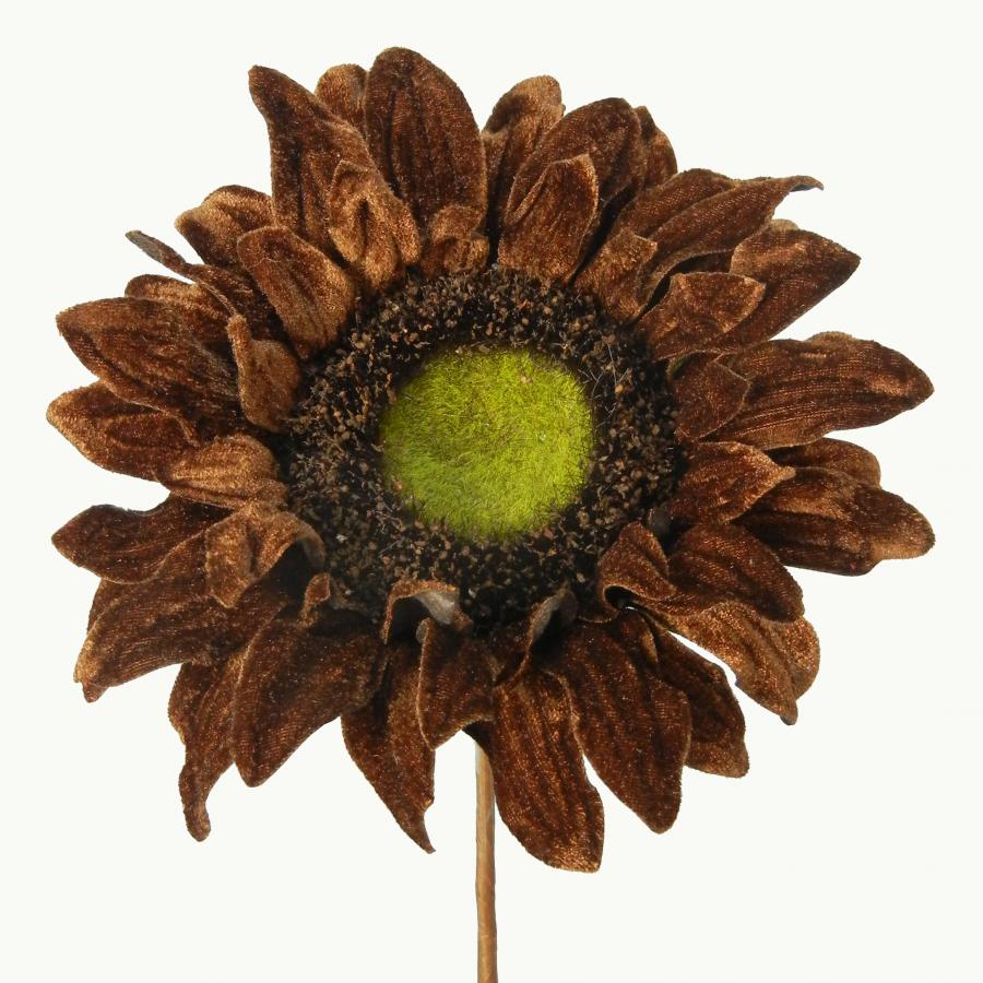 040907904469-galerias el triunfo