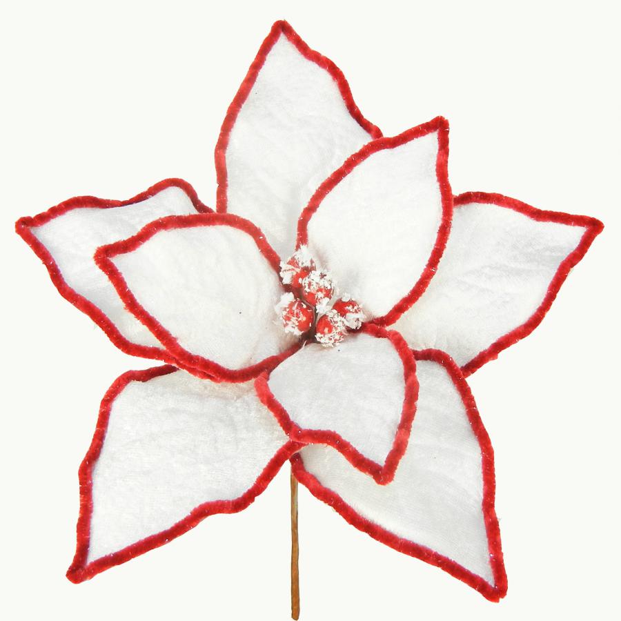 040907904482-galerias el triunfo