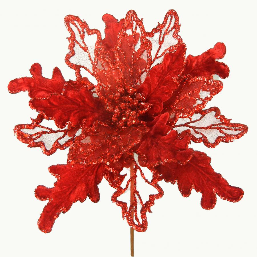 040907904486-galerias el triunfo